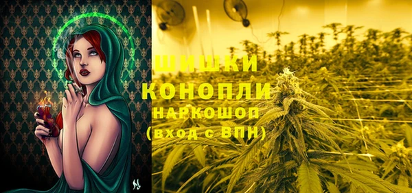дживик Осинники