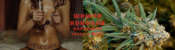 не бодяженный Осташков