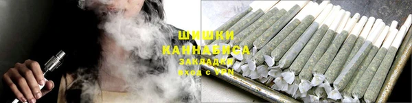 дживик Осинники