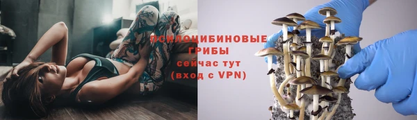 не бодяженный Осташков