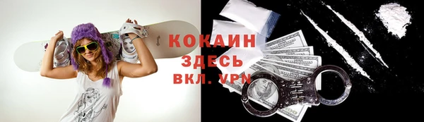 дживик Осинники