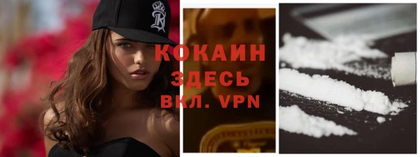 дживик Осинники