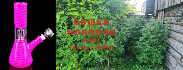 дживик Осинники