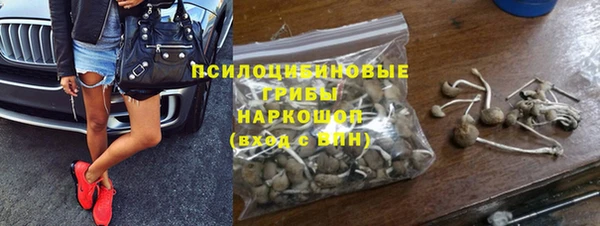 дживик Осинники