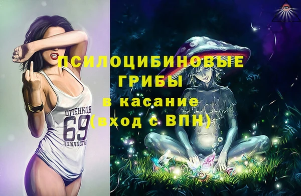 дживик Осинники
