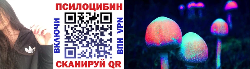 Галлюциногенные грибы GOLDEN TEACHER  Купить где  Новоульяновск 